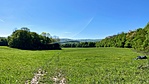 IMG_9718