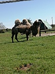 IMG_20210509_095814