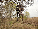 Merzse-mocsár-8
