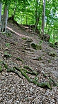 IMG_20210509_101640