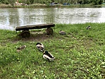 20210524_102547417_iOS