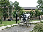 20210529_105931753_iOS