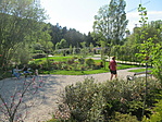 IMG_2975