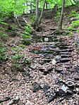 IMG_3245