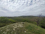 Panoráma kutyával ...