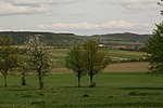 IMG_2768