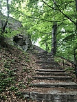 IMG_5216