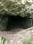 IMG_5214