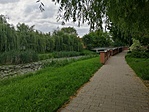 Visszafelé