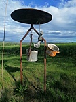 IMG_20210515_172722