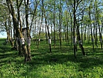 IMG_20210515_174135