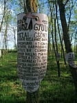 IMG_20210515_174148