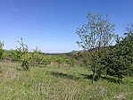 IMG_20210509_154148_1