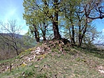 IMG_20210501_120355