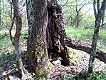 IMG_20210501_122405