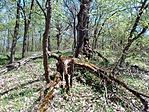 IMG_20210501_122522