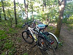 IMG_20210510_174929