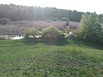 IMG_20210510_180540