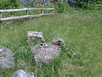 IMG_20210529_113311