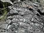 IMG_20210529_113343