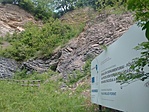 IMG_20210529_113529
