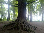 IMG_20210529_131745