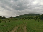 IMG_20210505_164010