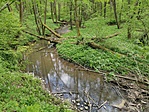 IMG_20210505_155346