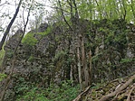 IMG_20210505_160305