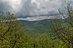 _DSC0781