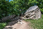 _DSC1459