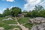 _DSC1463