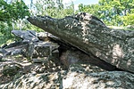 _DSC1467