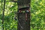 _DSC1623