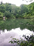 IMG_20210525_123145