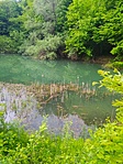 IMG_20210525_164223