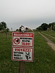 IMG_20210524_184333