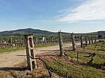 IMG_20210509_165759
