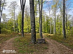 IMG_20210505_121948