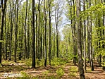 IMG_20210505_122256