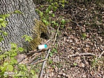 IMG_20210505_125245