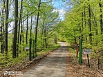 IMG_20210505_134423