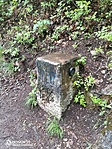 IMG_20210514_132626