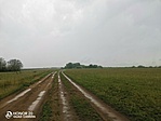 IMG_20210523_135149