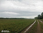IMG_20210523_135155
