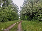 IMG_20210523_140754