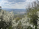 IMG_3143
