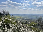 IMG_3145