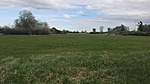IMG_20210502_164421