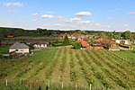 IMG_5086